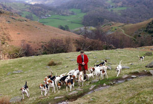 Above Tilberthwaite Ghyll by Betty Fold Gallery